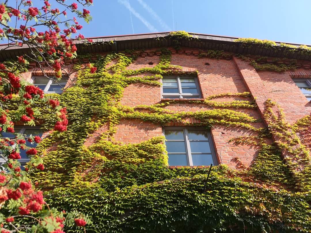 Erstes regionales #netzwerktreffen 2020 in Bollewick. 30.01. ab 18:30 Uhr.  Infos und Anmeldung unter Events netzwerk-seenplatte.de