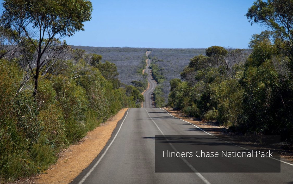 seventeenTHcom's tweet photo. สภาพผืนป่าในอุทยานแห่งชาติฟลินเดอร์ส เชส (Flinders Chase National Park) บนเกาะ Kangaroo Island ของออสเตรเลีย ก่อนและหลังถูกไฟป่า 😭😭😭😭😭 #PrayForAustralia 

ที่มาภาพ https://t.co/a4HO3NQx45 และ https://t.co/EGAlldt6hI https://t.co/RIpIyFb6Yk