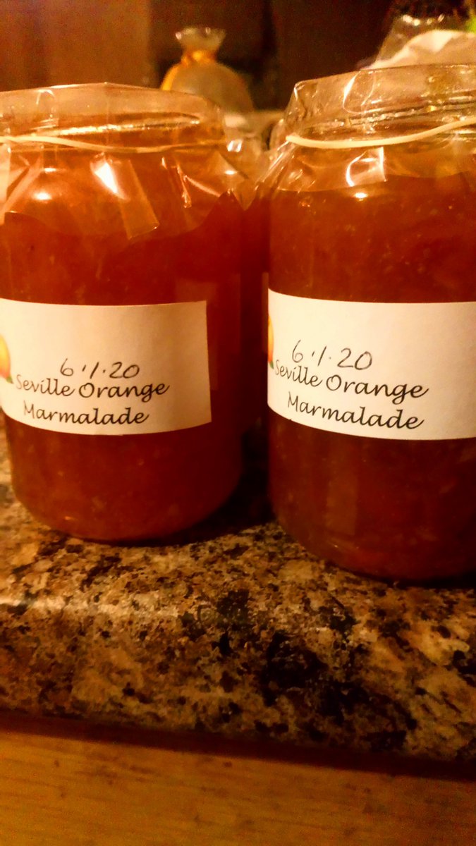 Whinnieknowe's tweet photo. Marmalade oranges @whinnieknowe https://t.co/0I0jS3jPMe