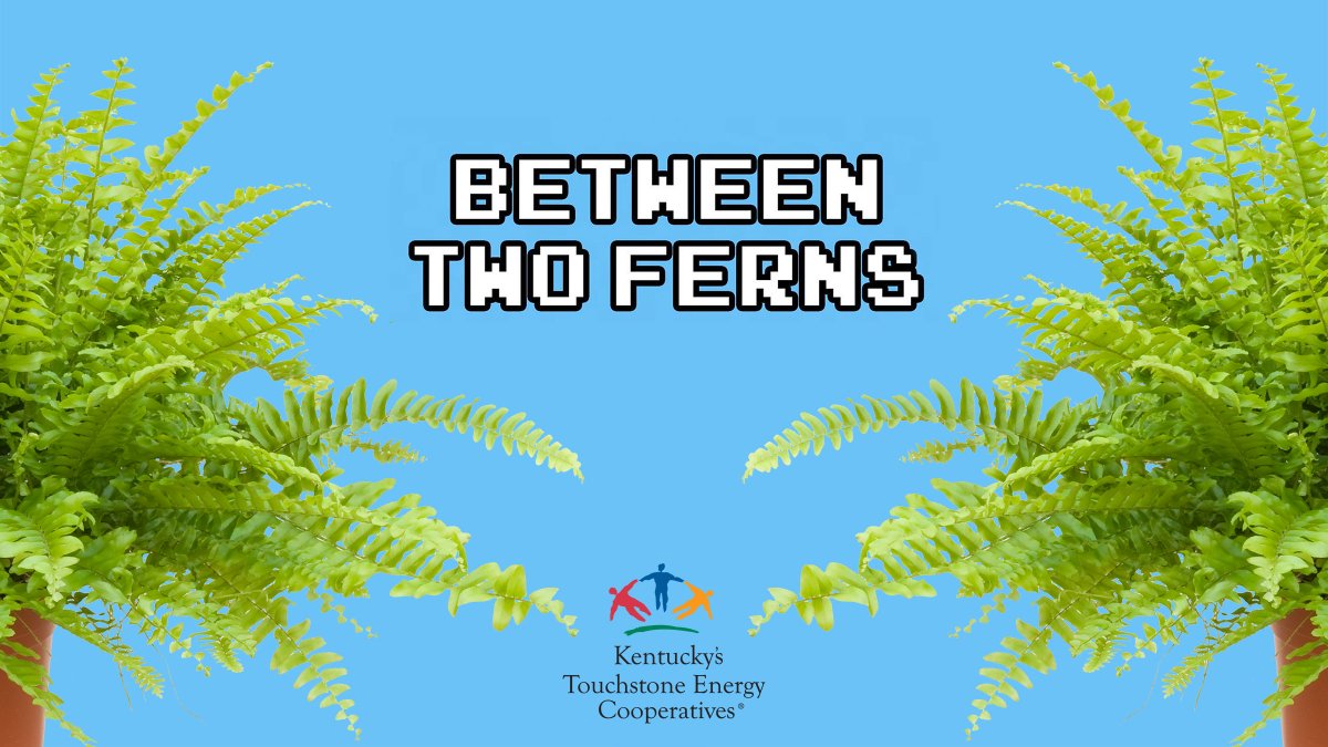 BradKTEC's tweet image. Coming Soon to #CoopAPaLooza…..   #February202020 #RealDiscussions #RuralEconomicDevelopment #StayTuned  @KyTouchstone