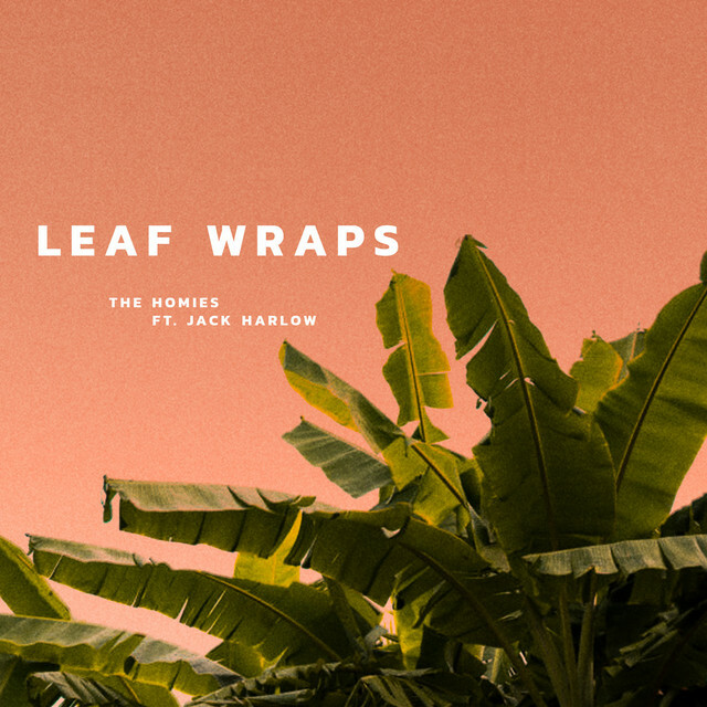 Good vibes, worldwide!

New music for your new year
'Leaf Wraps' by The Homies, Jack Harlow on Loft Radio

Mixcloud: ift.tt/2FqU1zh

#music #interviews #culture #goodvibes #listen #futurebeats #hiphop #beats #electronica #dj #djset #loftradio #maninaloft #love #goodmus…