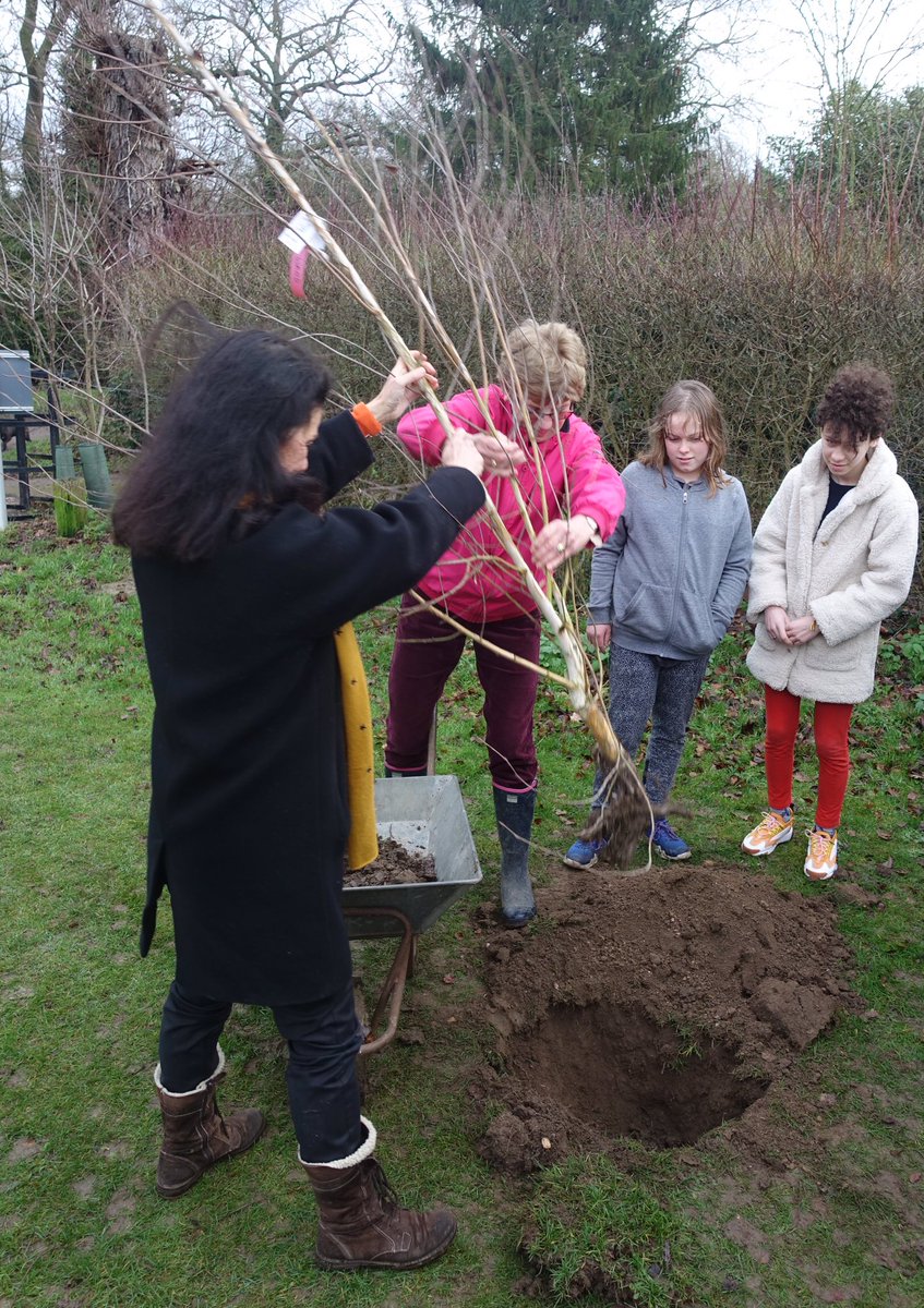 SouthCambs's tweet photo. ποΈ New Leaderβs Blog from @cllrbridget: 'Itβs really important we do something to start increasing the amount of tree planting in South Cambridgeshire'
π» Read more about the launch of our #ThreeFreeTrees scheme for parish councils in the blog at https://t.co/trQ4VuchS3 https://t.co/GU5E8i2Irz