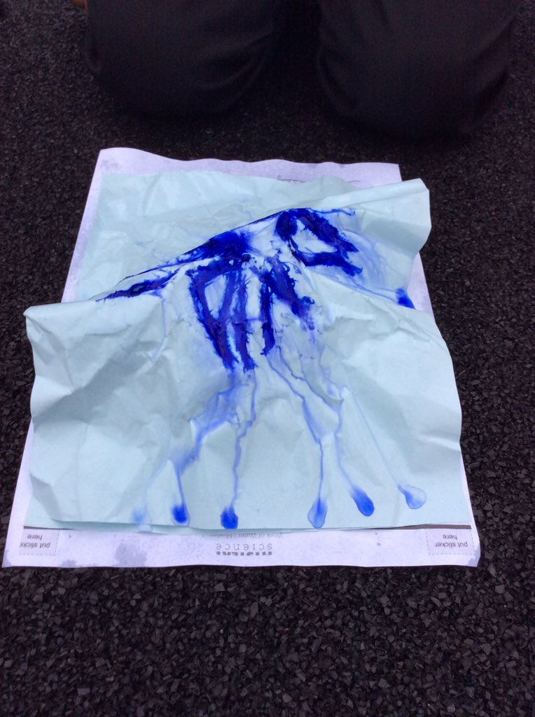 MrButler_HT's tweet photo. Exciting start to our #ragingrivers topic. Our #WOWday included: why do rivers flow, why are towns and cities were they are and we created a river scene #inspirecurriculum https://t.co/AqqyhaRIfl