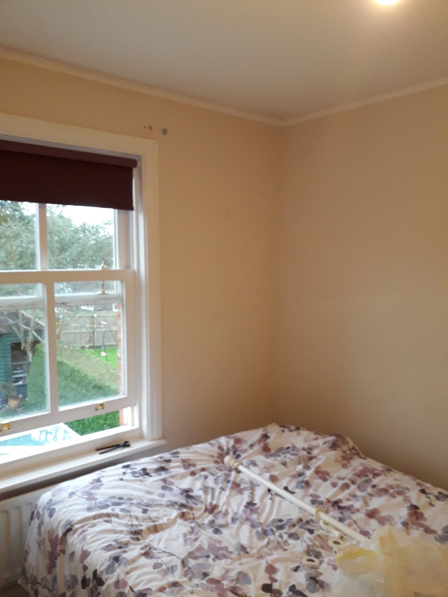 Chester Painter tweet media