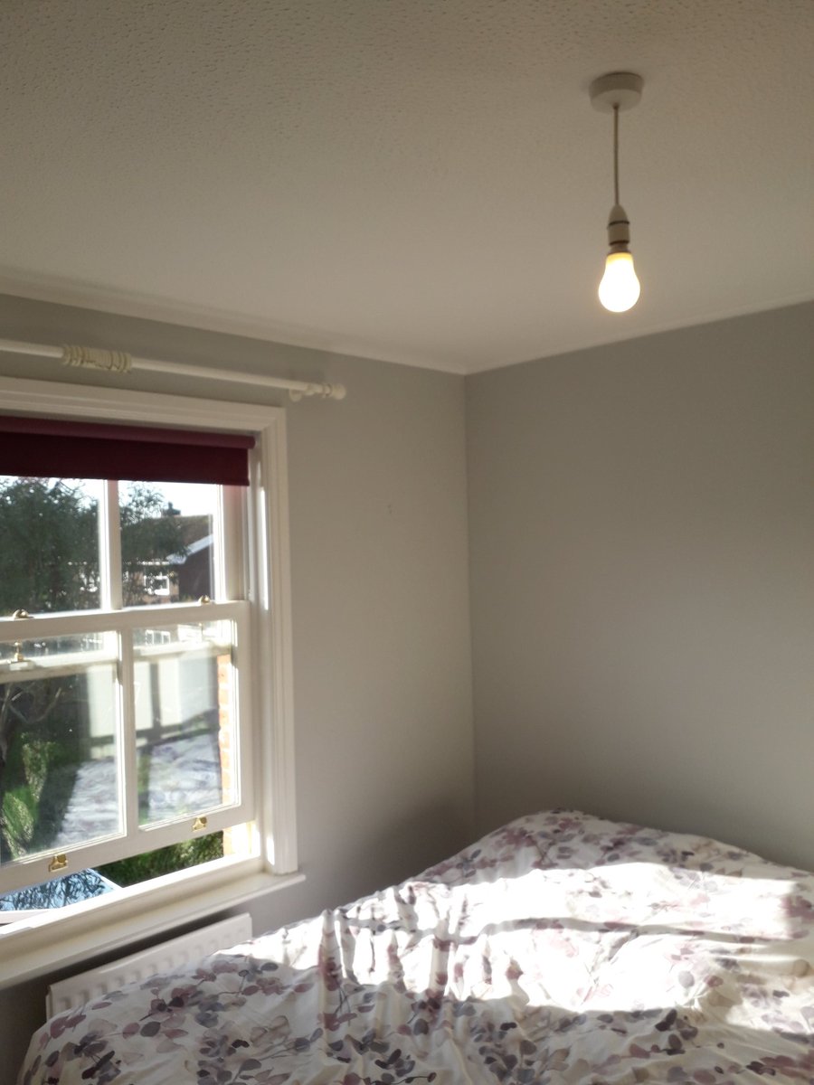 Chester Painter tweet media