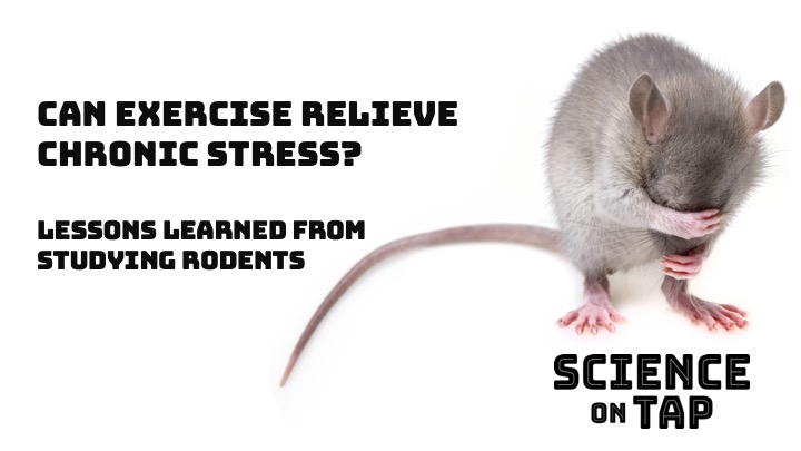 CapSciNY's tweet photo. This month's Science on Tap is on January 28th at @BrownsBrewingCo in #Troy. Come meet Dr. Mike Jarcho from @SienaCollege and hear about his work on social stress. Event details at https://t.co/d6huGULadQ
#enjoytroy #518events #capitaldistrict #science #sienacollege #collarcity https://t.co/zxCzXiEKSc