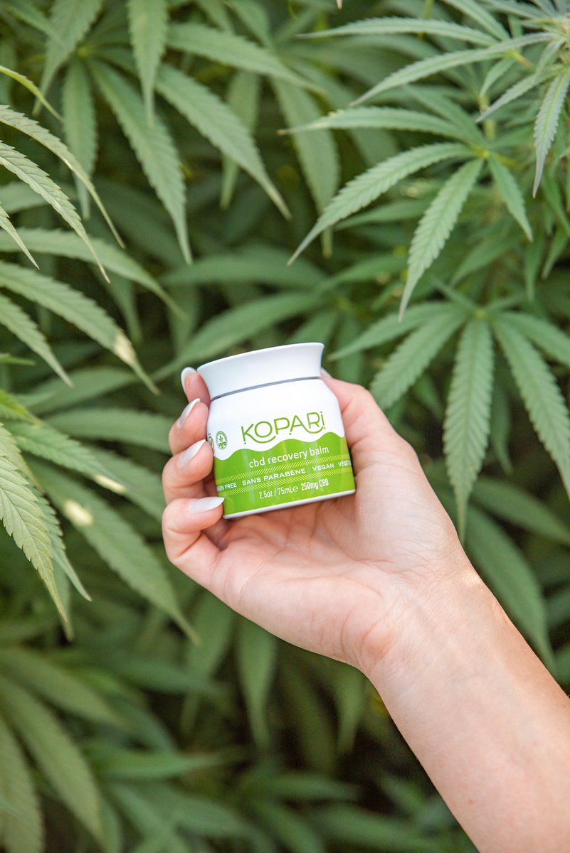 KopariBeauty's tweet photo. What makes Kopari's CBD different? 🌿

We believe in a farmer-driven, whole-plant approach that honors the entire plant, cold-pressed into a pure powder. Always sustainable and never over processed. https://t.co/eFM2LrkHtd