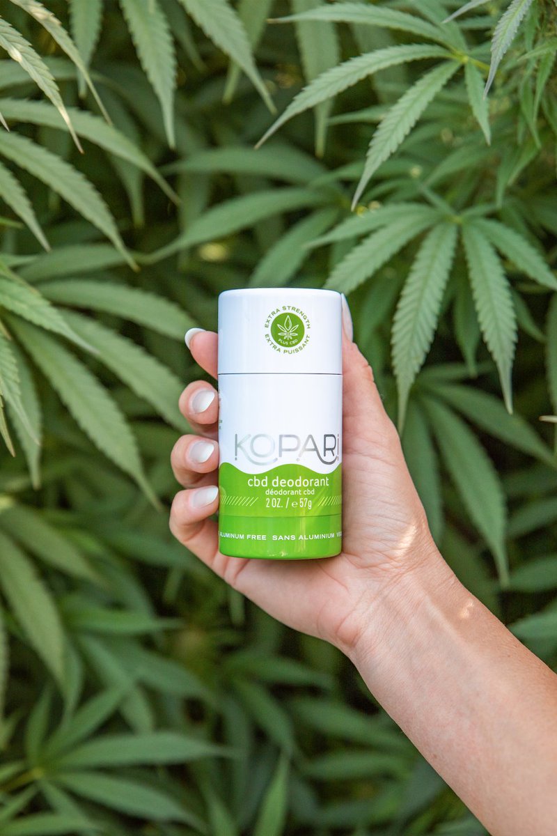 KopariBeauty's tweet photo. What makes Kopari's CBD different? 🌿

We believe in a farmer-driven, whole-plant approach that honors the entire plant, cold-pressed into a pure powder. Always sustainable and never over processed. https://t.co/eFM2LrkHtd