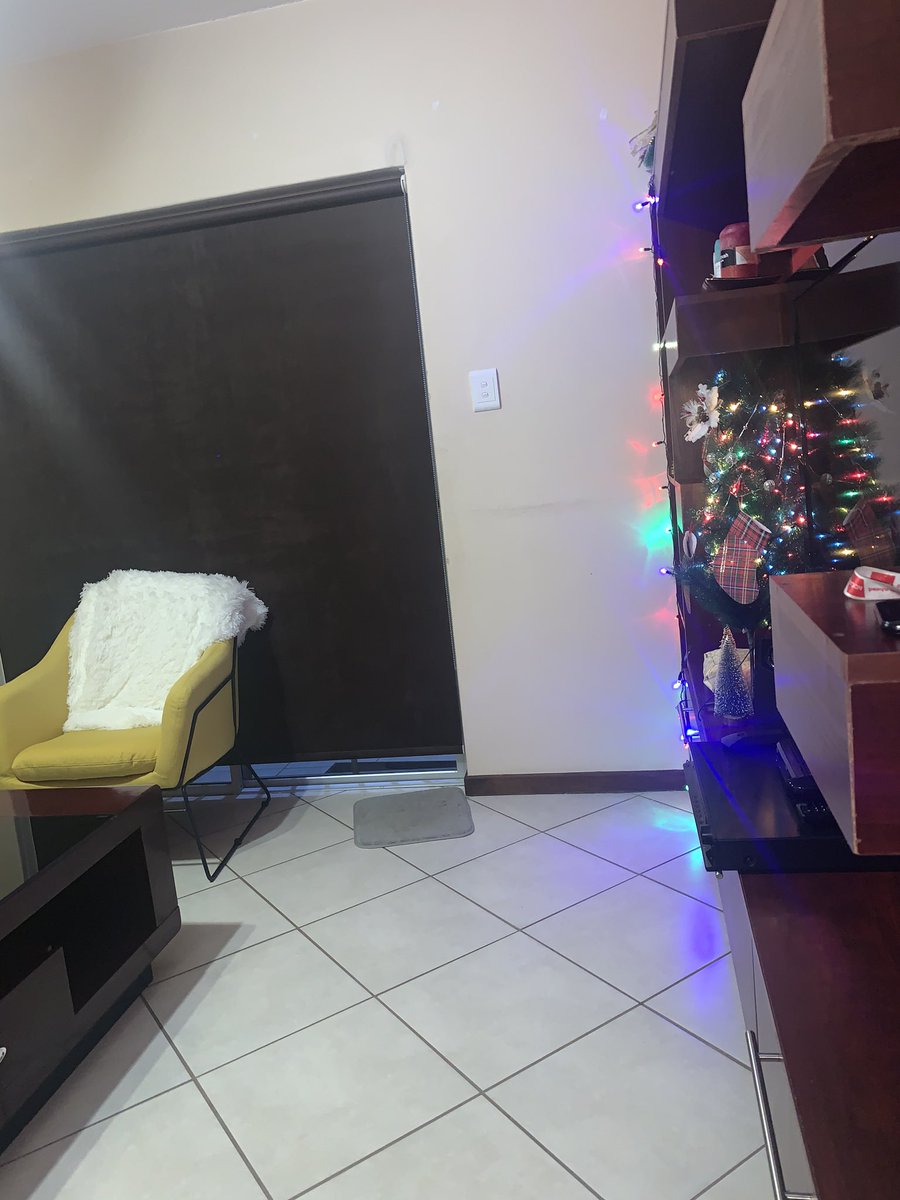 pokak01's tweet photo. #ChristmasTree Guys, when does one take down the Christmas Tree ( look closer- There it is)  and Decor..it was my first time and i am not ready to let go🥰🥰❤️🙌🏽🙈 https://t.co/rVrtVPcZ0H
