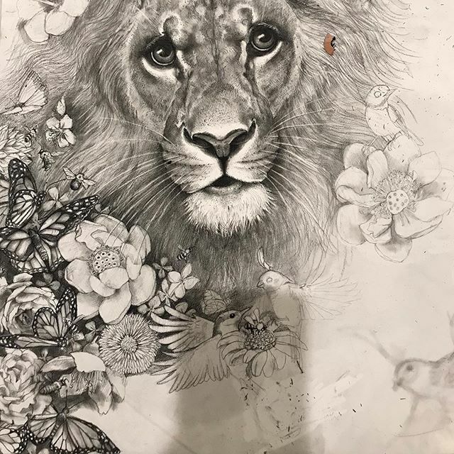 Adonna