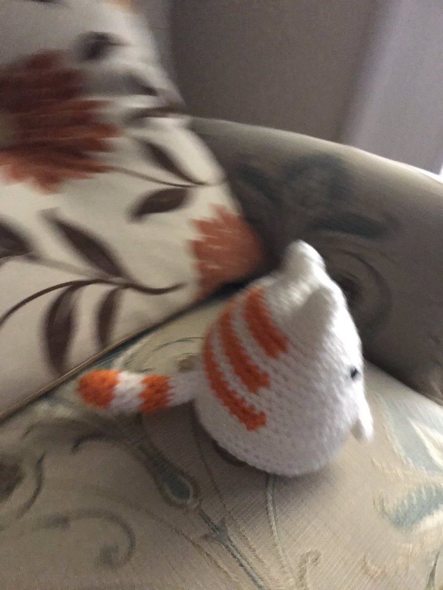 interlacing_web's tweet image. Dumpling kitty. So cute! Lol!! #Amigurumi #plushie #toy #crochet #crafts #yarn #redheartyarns