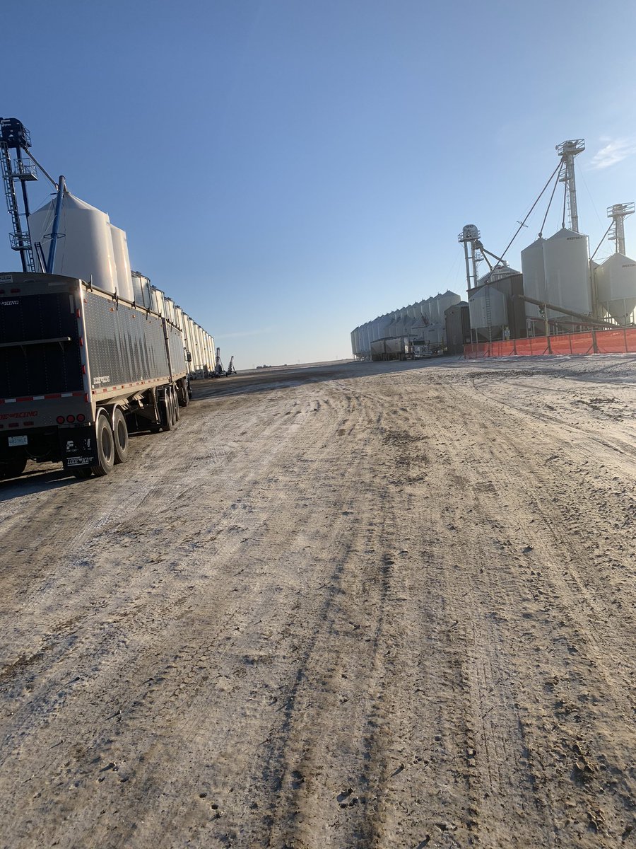 BraedenCrone8's tweet photo. Crone Farms, receiving Flax to be cleaned and some tough wheat for the dryer! Book your cleaning and drying today with Braeden at 13066907729 book your apron advance with him ASAP to be ordered and you’re off to a great planting season after it hits out LPV 2000 USC seed treater! https://t.co/GbWG6YrkYm