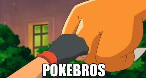 TortimerTheGrey's tweet photo. Tort is going LIVE in ~20 minutes (12 pm NOON EST) doing a Bro'locke (Soul Link variant) with @Kuya_BTB through #PokemonSwordShield! Come hang out! https://t.co/CBjYQc7uvo #PleaseStandy https://t.co/mJJ9e5RyYc