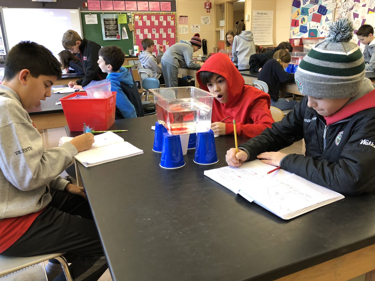 6th Grade Blue Team tweet media