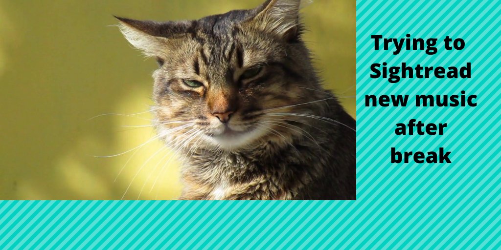 You may make mistakes, but at least you're trying!