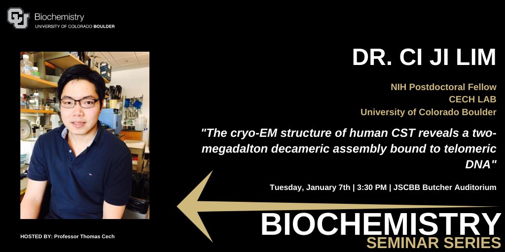 Ci Ji Lim Seminar Flyer with photo of speaker.