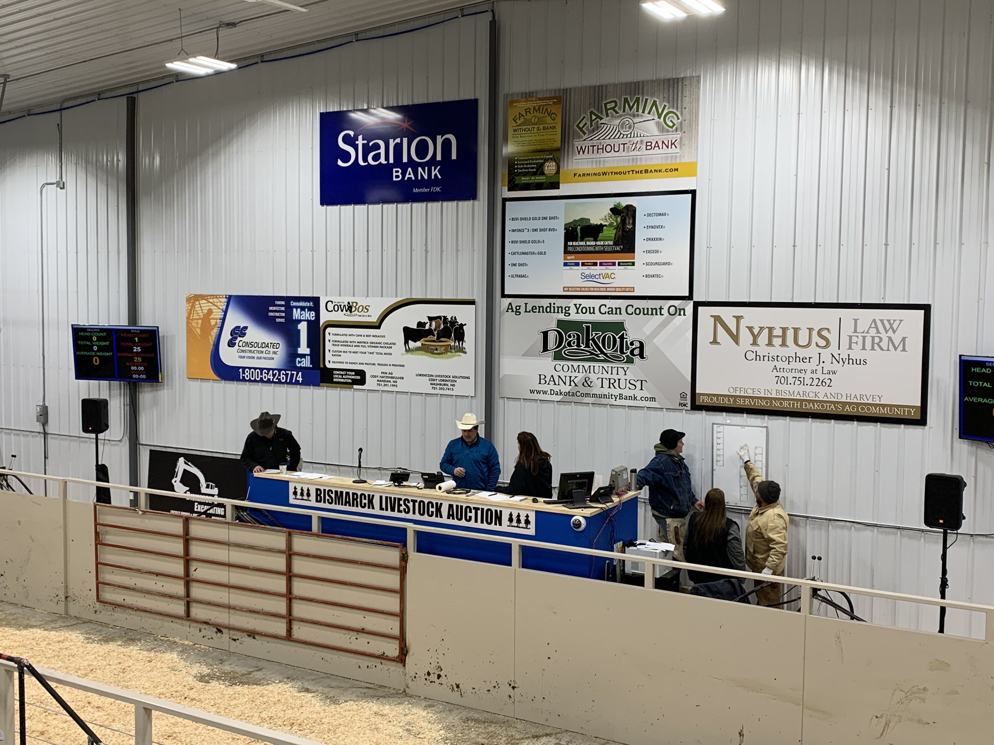 Jenny Schlecht on Twitter "First feeder sale at Bismarck Livestock