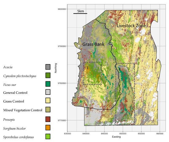 petertyrrell_ke's tweet photo. If you are interested in species-level mapping of savanna ecosystems. Take a look at @HunterF69747443's new paper https://t.co/kXubTs4qOy, which demonstrates how its done using Sentinel Imagery! Useful for monitoring, research, and management decisions. In @remotesens_mdpi https://t.co/msRAUPTgYO