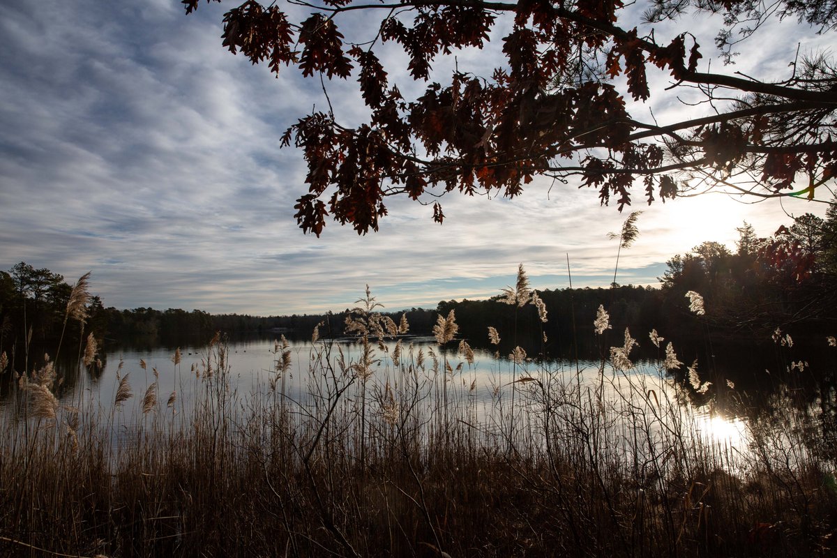 Stockton_edu's tweet photo. Here's a Lake Fred update for the #StocktonU Ospreys. We hope everyone is having a great winter break. https://t.co/jqRaes65ml
