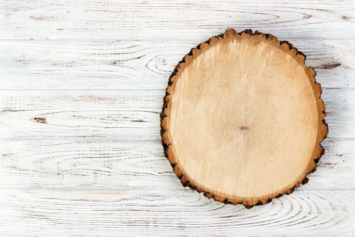 FJTButcherBlock's tweet image. #DidYouKnow that before the advent of heavy-duty hardwood #butcherblocks, folks used tree rounds from softwood trees to prepare their food? 🍴 However, these rounds quickly became unsanitary and a replacement was needed! 😎

Learn more about our products: foreverjointtops.com