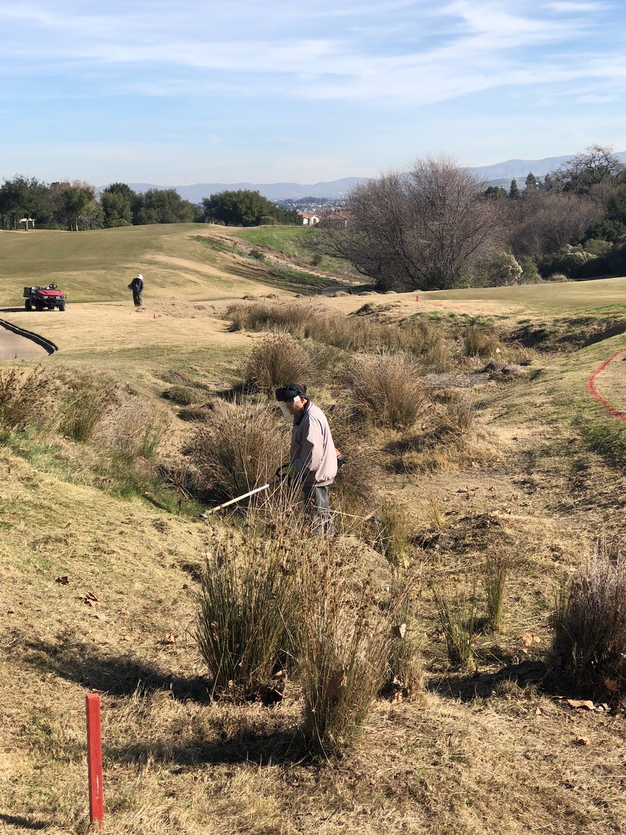 RubyAgronomy's tweet image. Winter projects have begun, trimming / cleaning out creek in front of #15 green