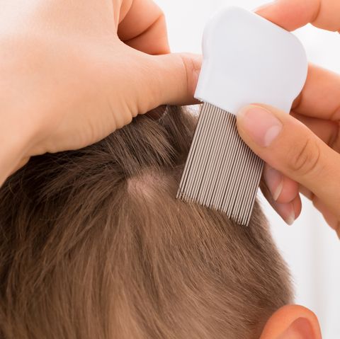 Headlice Hashtag On Twitter