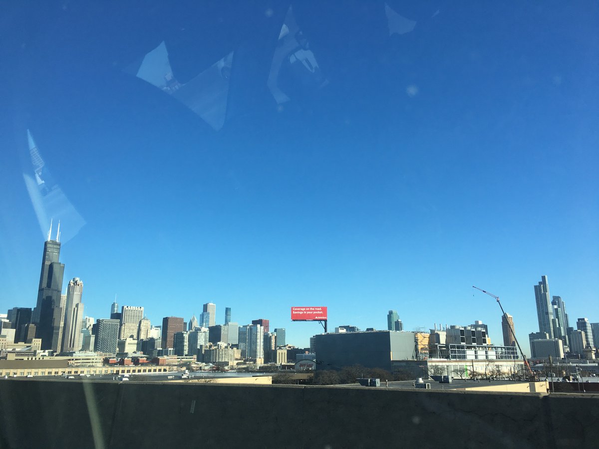 SpacecaseCat's tweet image. Traveling to my new apartment: #CatsOfTwitter #Cats