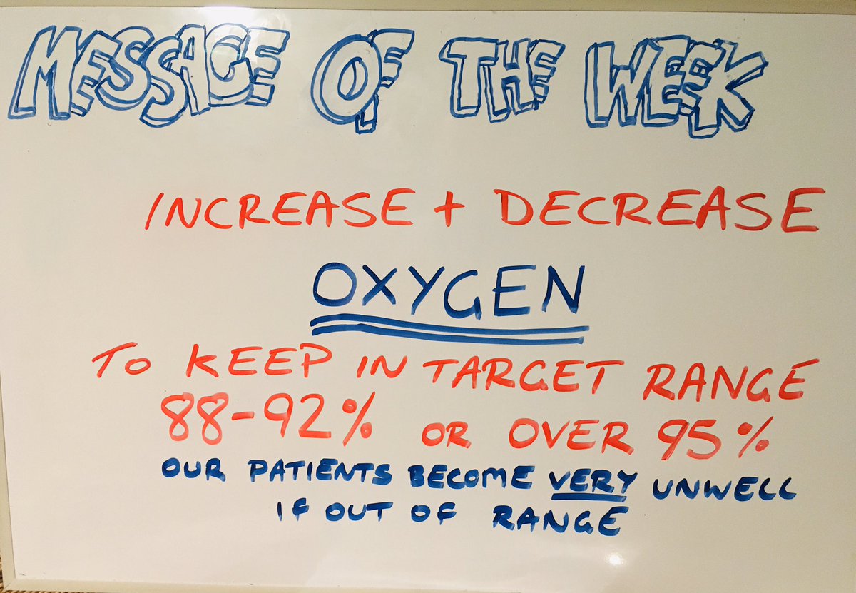 WinterBeds2020 tweet media