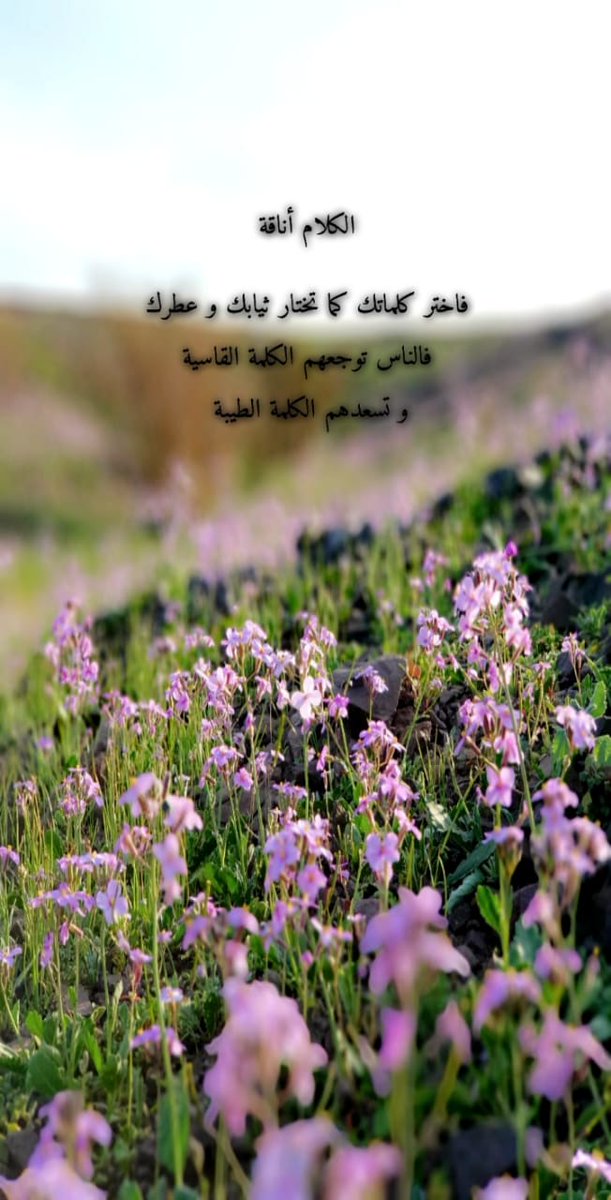 mahaalgahtany al (@mahaalgahtanya) on Twitter photo 