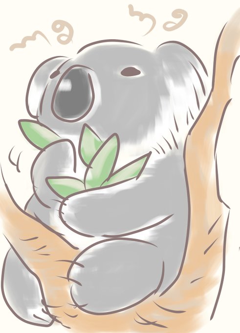 コアラのtwitterイラスト検索結果