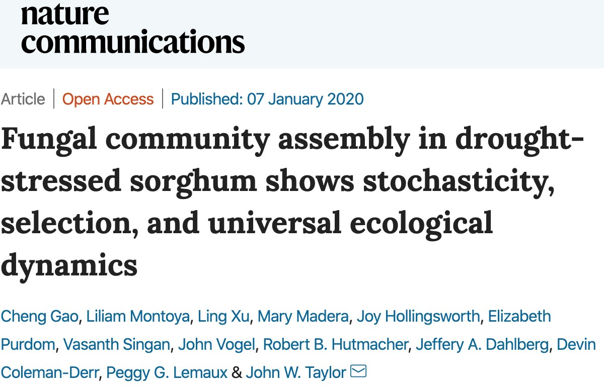 Cheng Gao (高程) (@chenggucb) on Twitter photo Paper out <a href="/NatureComms/">Nature Communications</a> , <a href="/mycotajohn/">John Taylor</a> , <a href="/Jasminexu2017/">Ling Xu</a>, <a href="/phdperspectives/">Mary Madera</a> , <a href="/DevinColemanDer/">Devin Coleman-Derr</a>, <a href="/PMB_Berkeley/">Berkeley Plant & Microbial Biology</a>, <a href="/UCBerkeley/">UC Berkeley</a>
Fungal community assembly in drought-stressed sorghum shows stochasticity, selection, and universal ecological… disq.us/t/3l231sq Paper out <a href="/NatureComms/">Nature Communications</a> , <a href="/mycotajohn/">John Taylor</a> , <a href="/Jasminexu2017/">Ling Xu</a>, <a href="/phdperspectives/">Mary Madera</a> , <a href="/DevinColemanDer/">Devin Coleman-Derr</a>, <a href="/PMB_Berkeley/">Berkeley Plant & Microbial Biology</a>, <a href="/UCBerkeley/">UC Berkeley</a>
Fungal community assembly in drought-stressed sorghum shows stochasticity, selection, and universal ecological… disq.us/t/3l231sq