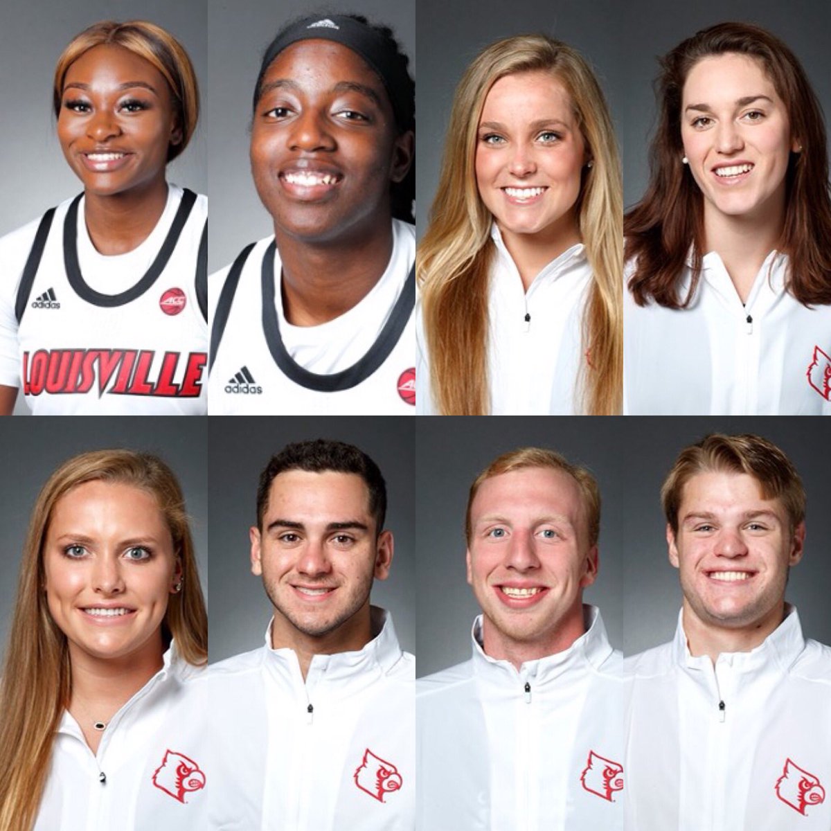 Louisville Sports Performance tweet media
