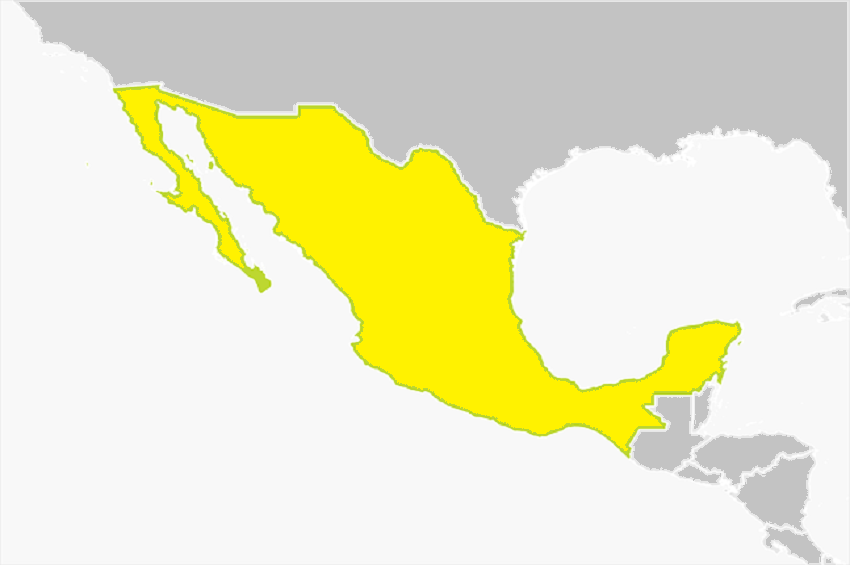 lopezpadilla7's tweet photo. México y la Profecía Pendiente. Mística, Historia y Prospectiva https://t.co/sUasc0oCSm https://t.co/vgsa3vSSmo