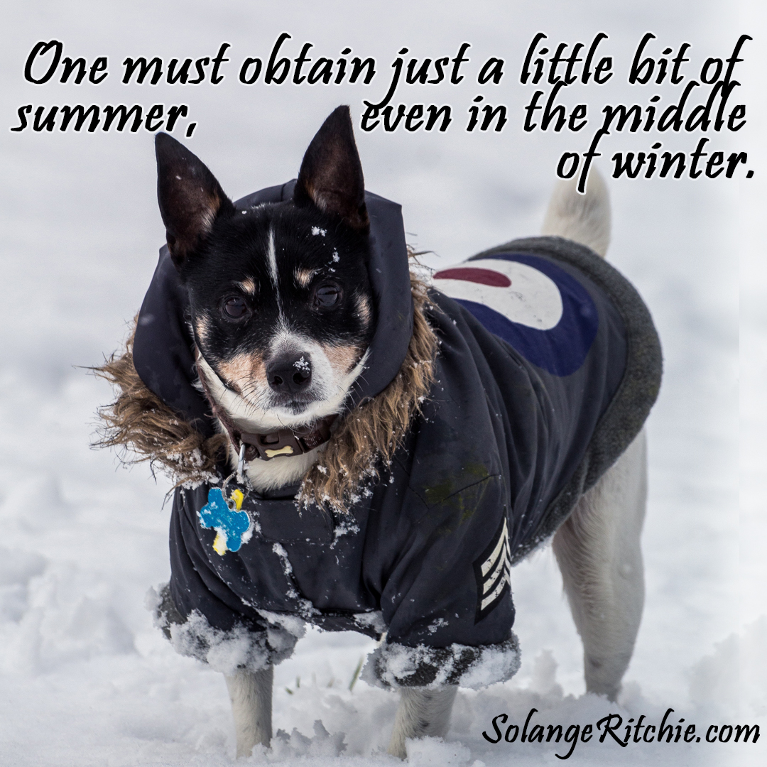 "Outside of a dog, a book is a man's best friend. Inside of a dog it's too dark to read." - Groucho Marx

Find out more about my novels here: solangeritchie.com 

#ASMSG #animalsaddict