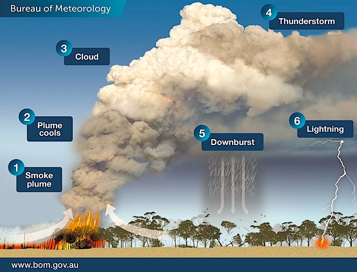 firescapefps's tweet photo. This #infographic demonstrates how #wildfires create their own #weather, causing #lightning and subsequently more #fires. Photo: #Australian Bureau of #Meterology

#bushfire #newsouthwales #queensland #sydney #Australia #firefighter #climatechange #firestorm #thunderstorm https://t.co/zLJW0afJH4