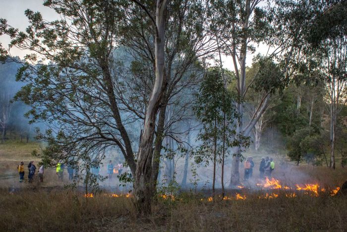 murraygunn's tweet photo. Indigenous knowledge is valuable and may hold the solution to avoiding devastation in Australia. https://t.co/hkNpwtXcM2 What more can we learn from our hosts? https://t.co/w2jCM5wHRf