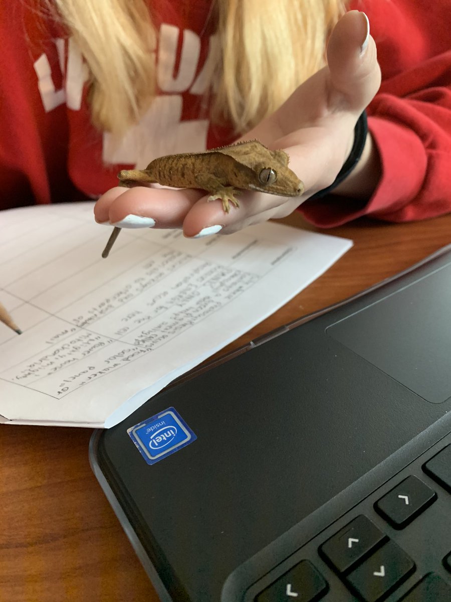 BBMadScience's tweet photo. Chilling with Spud as they work! https://t.co/JDtB1XvoGh