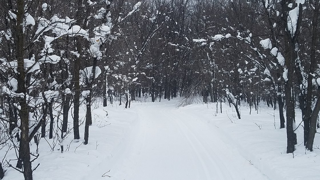 FargoParks's tweet photo. Have you been on the cross country ski trails at Forest River Park? ❄️🎿🙋♂️ Our operations team does such a great job with these trails, get outdoors and try them out!
#FargoParks #FargoWinterFun #ILoveFargo https://t.co/H5C4QYlgQF