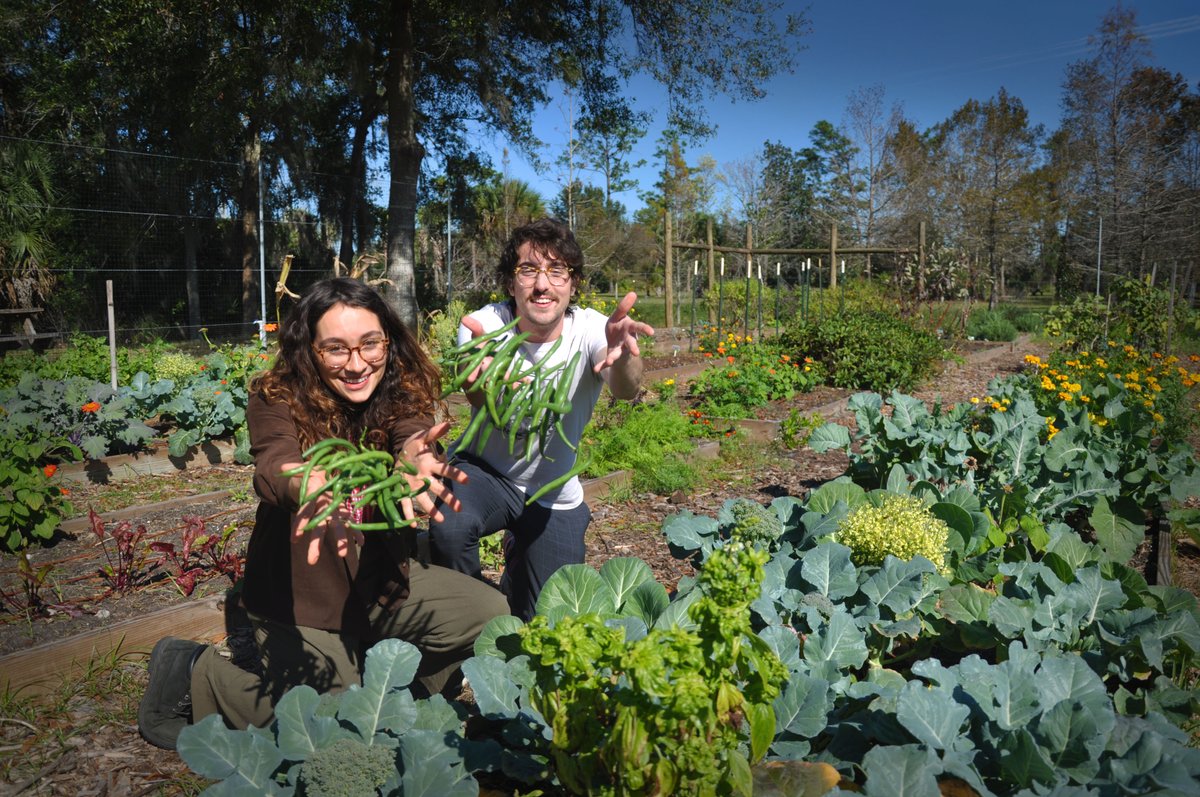 UCF_Arboretum's tweet photo. Welcome back to the new year, green beans! 🎇🌿 Our volunteer shift schedule will be up on KnightConnect &amp; open for RSVP sign ups this Friday. Remember, we open all of our shifts one month at a time. Go to our website for more info 💥 #2020LetsGo https://t.co/c1R7Ag9Gyo