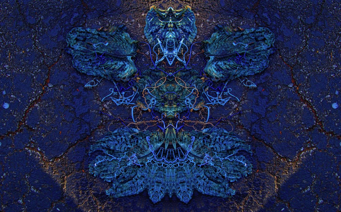 emergart's tweet photo. #Photography by #StephenCalhoun
.
Knysna Blue Welcome - photograph printed to aluminum - 46X74X2" - See prices and more work at: https://t.co/6qGLSz7W4j
.
#emergart #contemporaryart #art #gallery #fineart #artwork #artist #painting #photography #creative #drawing #artcollector https://t.co/rncXVTHTLS