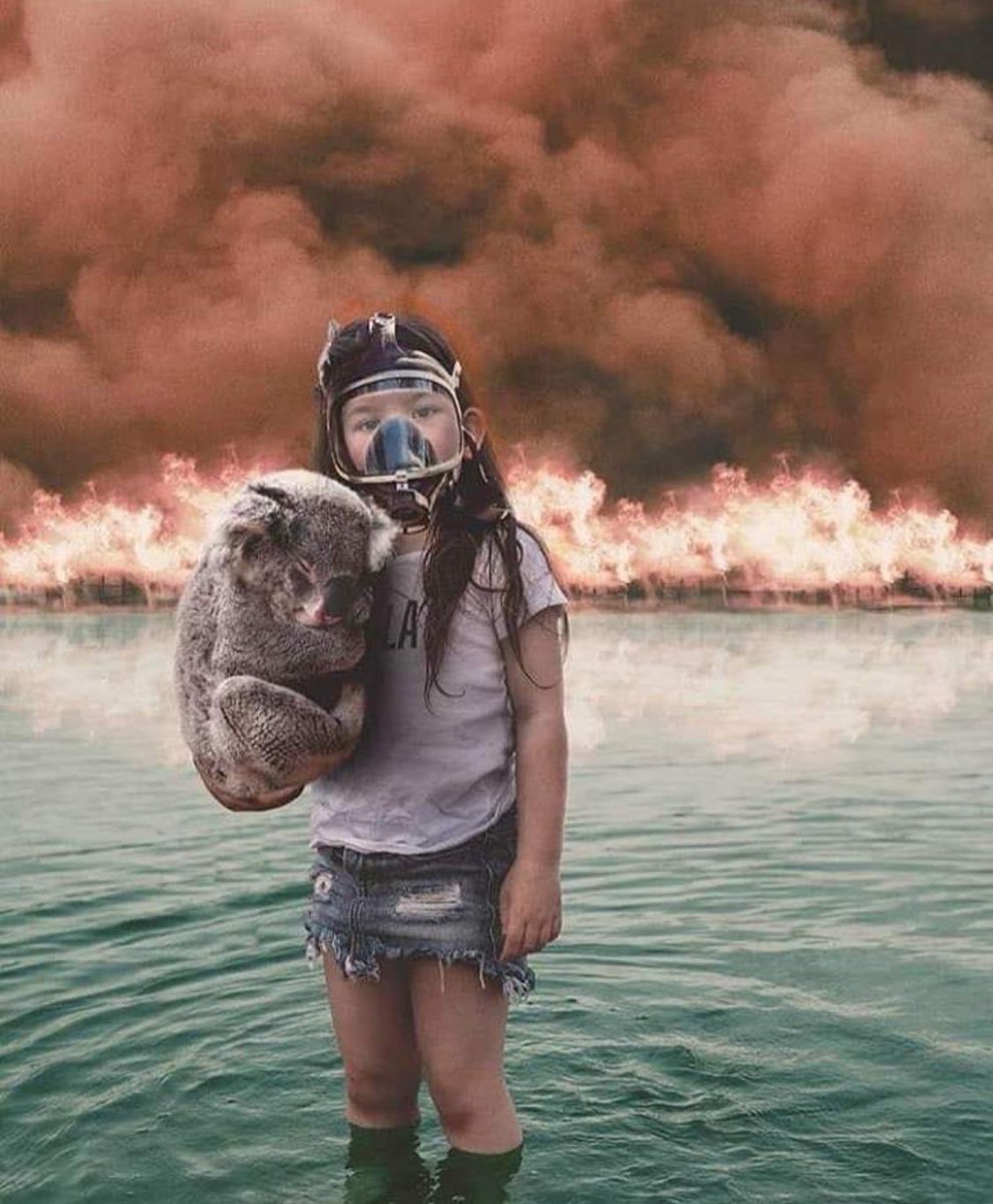 LFdCesmas's tweet photo. 480 millones de animales en Nueva Gales del Sur han perdido su vida por los incendios #Australia 🔥
¿Alguien es capaz aún de negar la existencia del #CambioClimático? 🆘
@AlejandroSanz 
➡https://t.co/m7lOHypoSW https://t.co/tdROxKnBqc