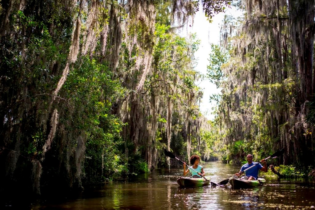 GrandeLakes's tweet photo. A2: We prefer to think outside the box! Discovery the unexpected #Orlando and experience the charm Florida has to offer with our Eco Tours, a unique adventure through Shingle Creek showcasing Florida’s natural habitats and wildlife. #FLTraveChat #PlanforVacation #LoveFL https://t.co/8E2xRfUXJw
