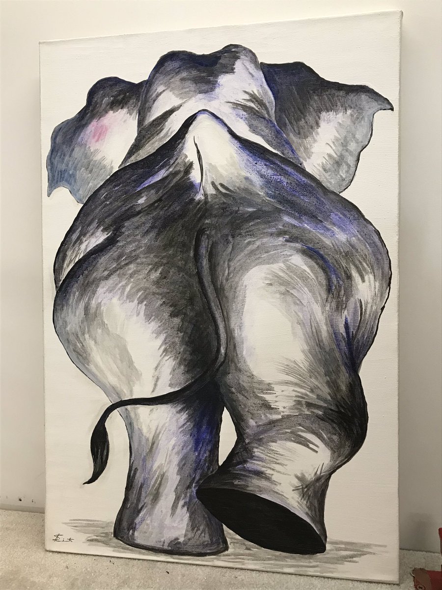 Does my bum look big in this? #canvasstretching #elephant #art