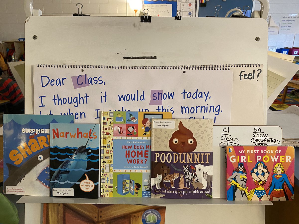 GraceKChoi's tweet photo. In preparation for publishing our nonfiction books, we did a little inquiry into how NF writers use even their covers to teach. Love the thoughtfulness that our 1st graders put into their covers after this inquiry! @Herndon_ES @Tingler05 @FCPSElemLA #FCPSLitCollab https://t.co/NSO36bpiGr