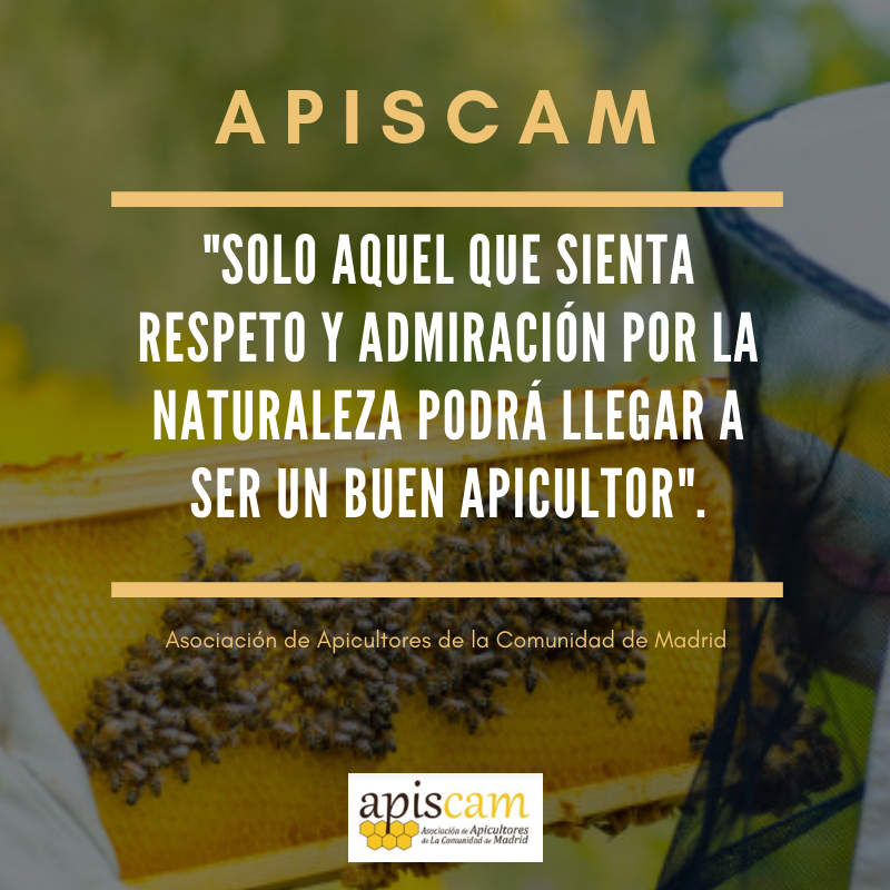 ApiscamMadrid's tweet photo. Desde #Apiscam trabajamos cada día para ofrecer a los #apicultores asesoramiento, formación, programas de apadrinamiento...
#SomosApicultores de la #ComunidaddeMadrid.
¡Infórmate! Queremos seguir creciendo 🐝👉 https://t.co/mnbmcnAXU5
#apicultura #Madrid #abejas https://t.co/mSDNt0Op9J