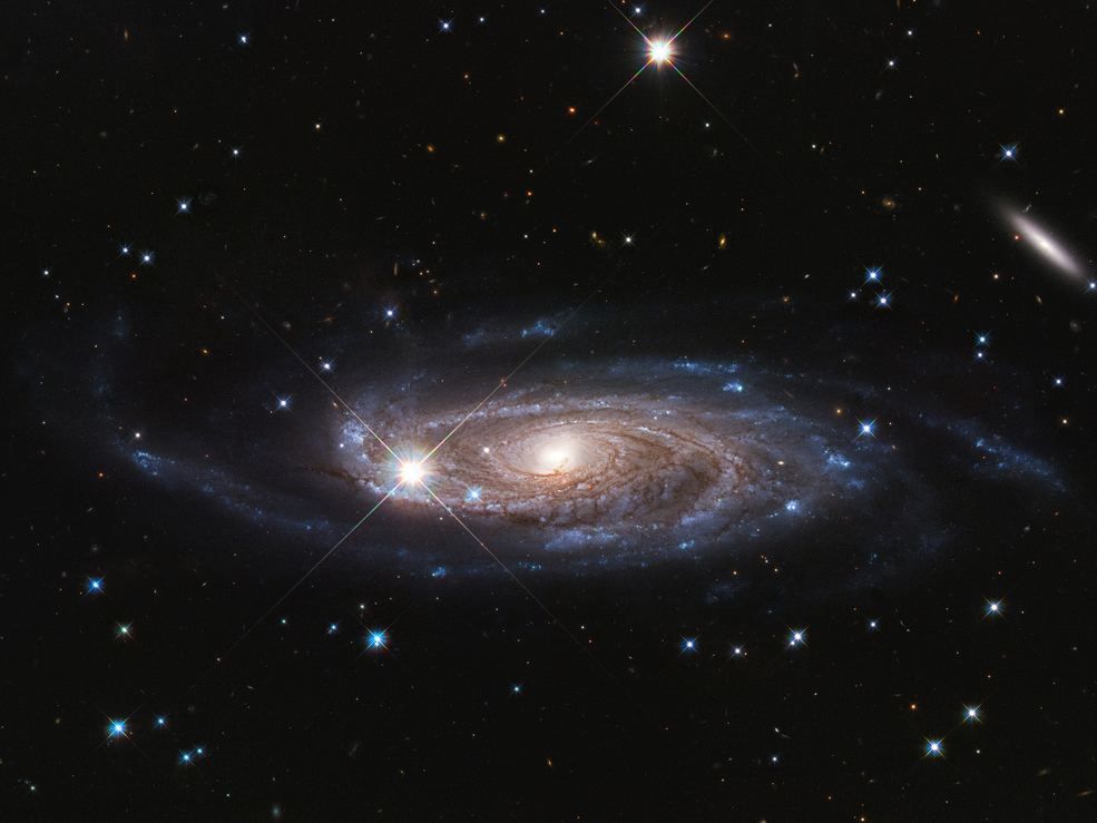 universetoday's tweet photo. Hubble Captured a Photo of This Huge Spiral Galaxy, 2.5 Times Bigger than the Milky Way With 10 Times the Stars - Universe Today https://t.co/1tBGwZvqHo https://t.co/xgW27WztdL