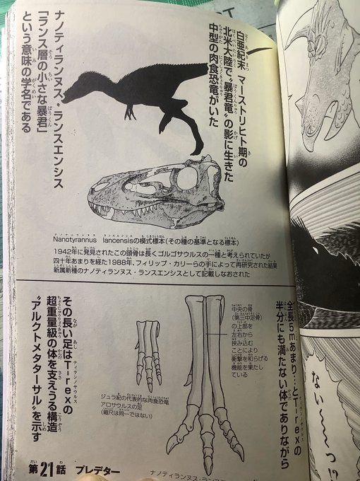 所 十三 Tokoro13 さんのマンガ一覧 古い順 2ページ ツイコミ 仮