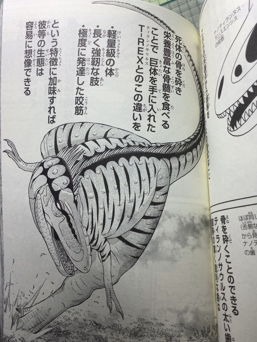 所 十三 A Twitteren ちなみに9年前に描いた漫画 Al ではこんな風に紹介してます 既に亜成体説が主流になりつつある中 研究者の意見に頑なに逆らった漫画家が日本にいた事を世界は知るまいw 所 十三 A Twitteren ちなみに9年前に描いた漫画 Al ではこんな風に紹介してます 既に亜成体説が主流になりつつある中 研究者の意見に頑なに逆らった漫画家が日本にいた事を世界は知るまいw