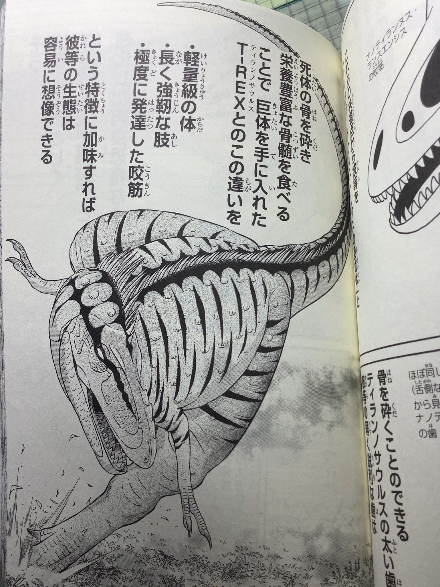 所 十三 ちなみに9年前に描いた漫画 Al ではこんな風に紹介してます 既に亜成体説が主流になりつつある中 研究者の意見に頑なに逆らった漫画家が日本にいた事を世界は知るまいw 所 十三 ちなみに9年前に描いた漫画 Al ではこんな風に紹介してます 既に亜成体説が主流になりつつある中 研究者の意見に頑なに逆らった漫画家が日本にいた事を世界は知るまいw