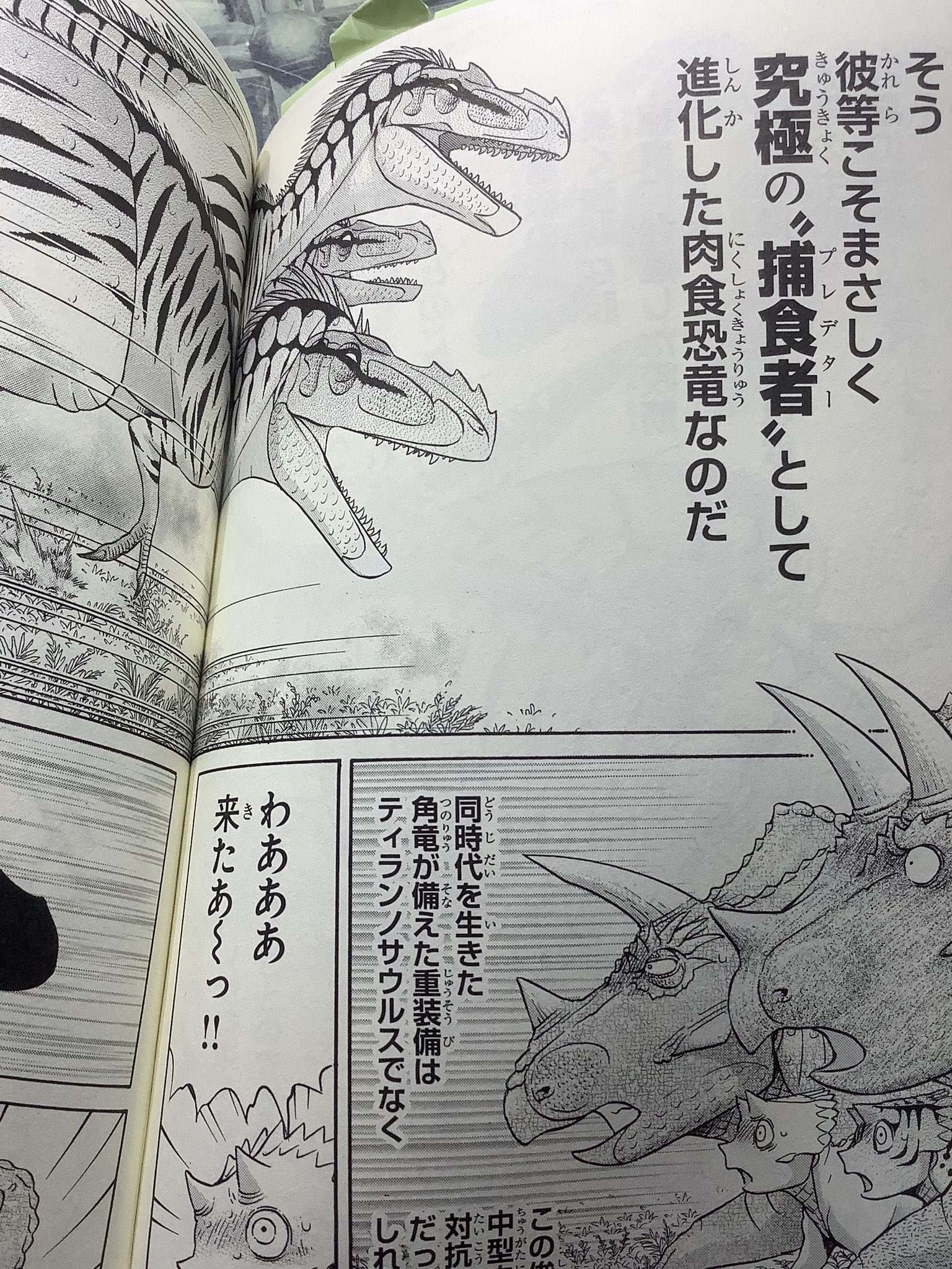 所 十三 A Twitteren ちなみに9年前に描いた漫画 Al ではこんな風に紹介してます 既に亜成体説が主流になりつつある中 研究者の意見に頑なに逆らった漫画家が日本にいた事を世界は知るまいw 所 十三 A Twitteren ちなみに9年前に描いた漫画 Al ではこんな風に紹介してます 既に亜成体説が主流になりつつある中 研究者の意見に頑なに逆らった漫画家が日本にいた事を世界は知るまいw